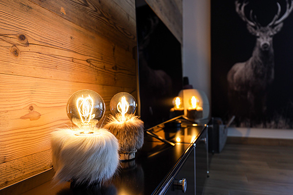 Aménagement et Décoration murale d'appartement - Chez Dan et Caro