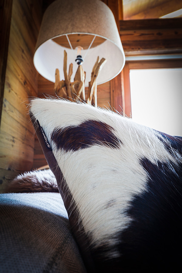 Aménagement de chalet - Espace de vie