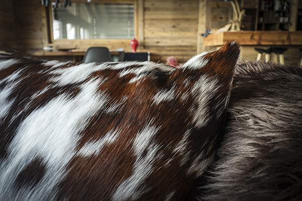 Aménagement de chalet - Tergus