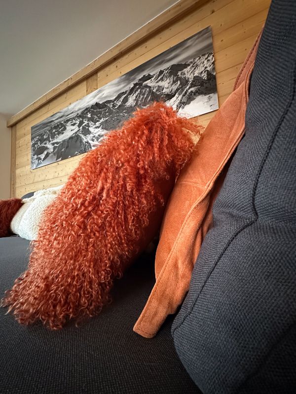 Projet d'aménagement et de décoration d'appartement de montagne Haute -Nendaz - Coussins Yak