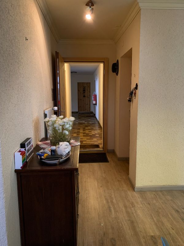 Projet d'aménagement et de décoration d'appartement de montagne Haute -Nendaz - Entrée en bois