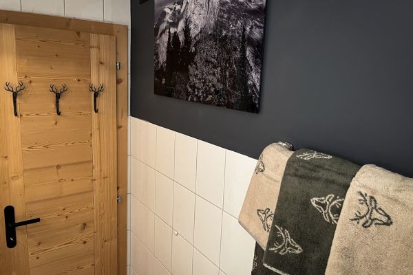 Projet d'aménagement et de décoration d'appartement de montagne Haute -Nendaz - Salle de bain