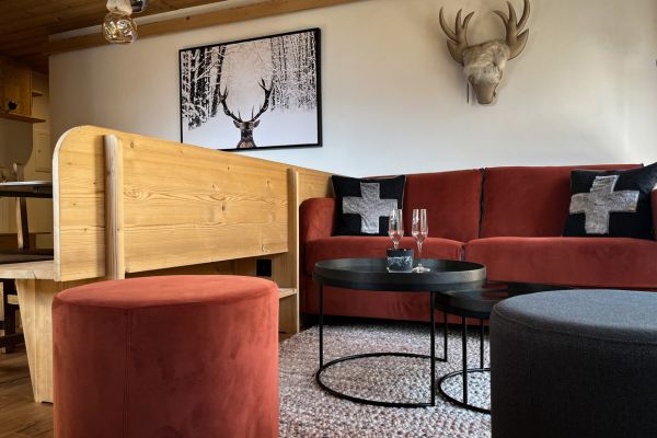 Projet d'aménagement et de décoration d'appartement de montagne Haute -Nendaz - Salon